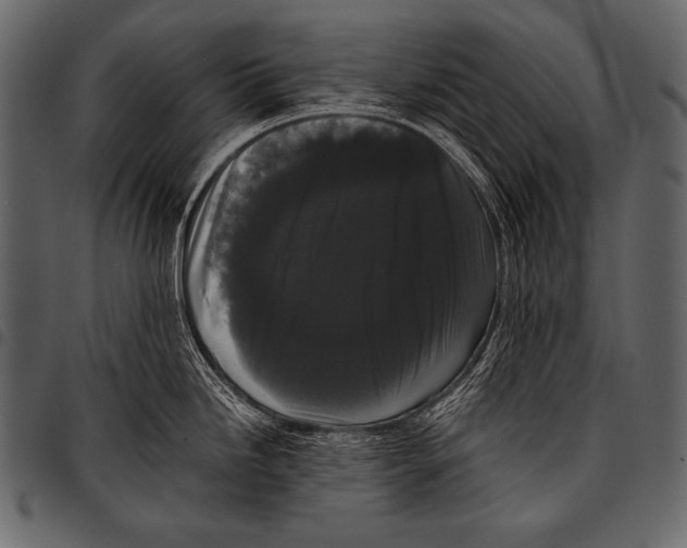 X0000097461246200803201419