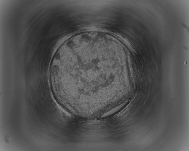 X0000097461247200803201419