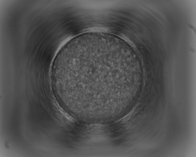 X0000097461248200803201419