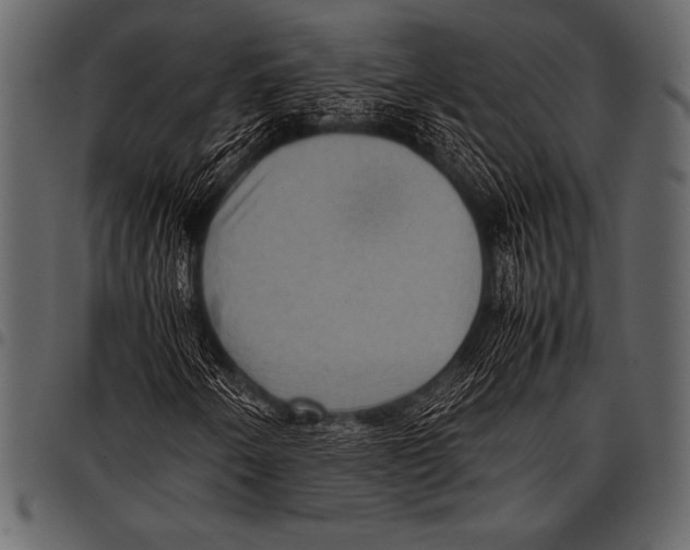 X0000097461250200803201419