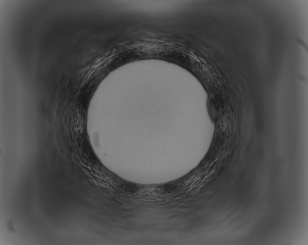 X0000097461253200803201418