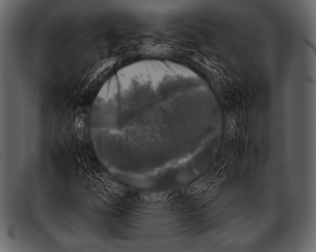 X0000097461254200803201418