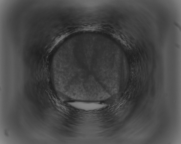 X0000097461256200803201418