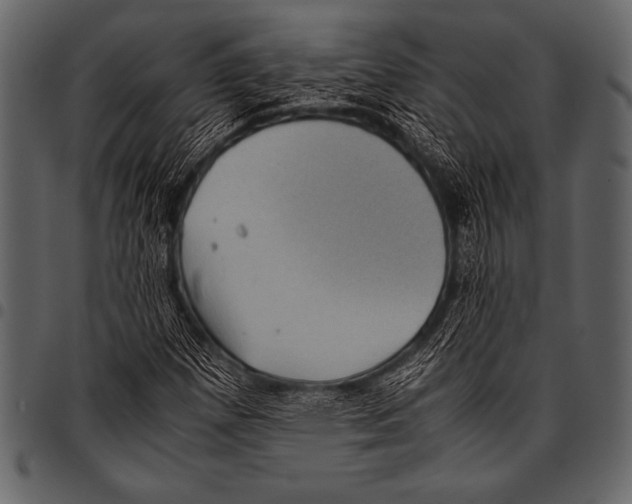 X0000097461257200803201418