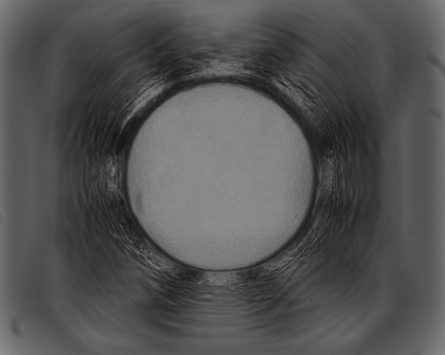 X0000097461258200803201418