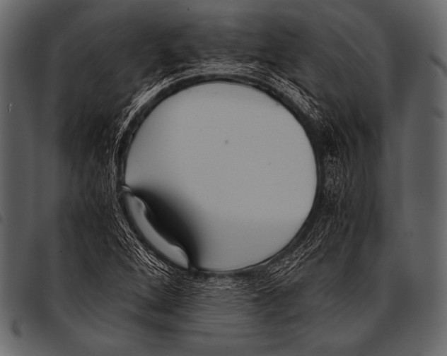 X0000097461264200803201418