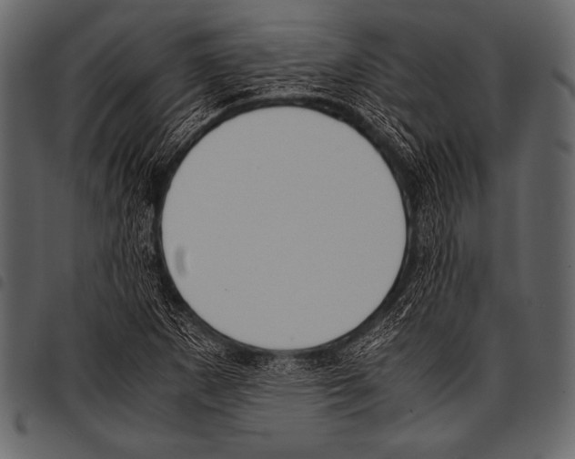 X0000097461265200803201418