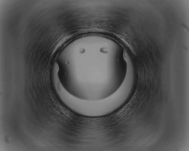 X0000097461266200803201418