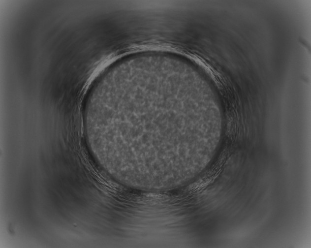 X0000097461271200803201418