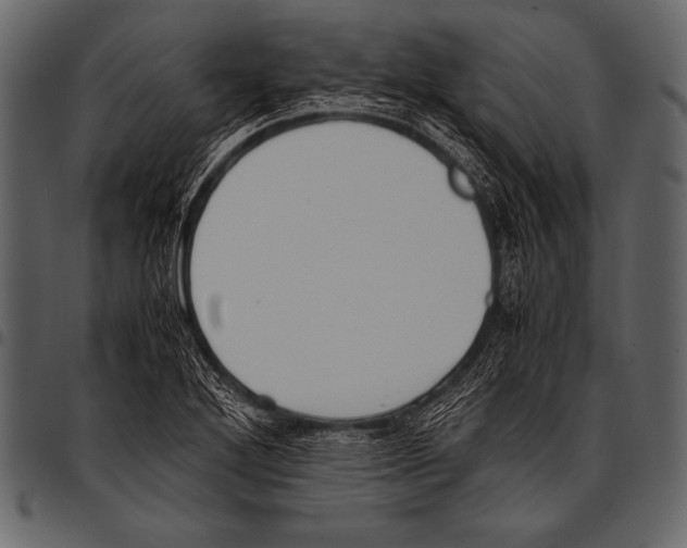 X0000097461272200803201418