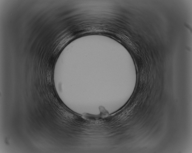 X0000097461273200803201418