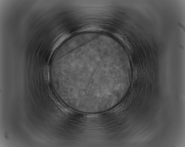 X0000097461274200803201418