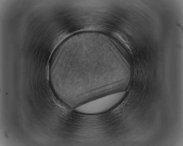 X0000097461276200803201418