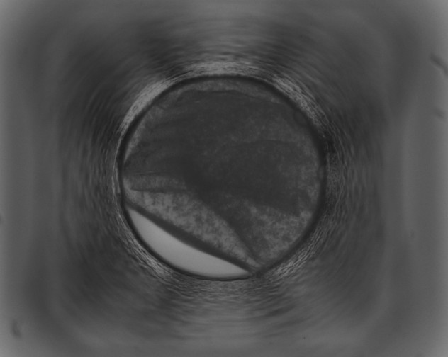 X0000097461277200803201418