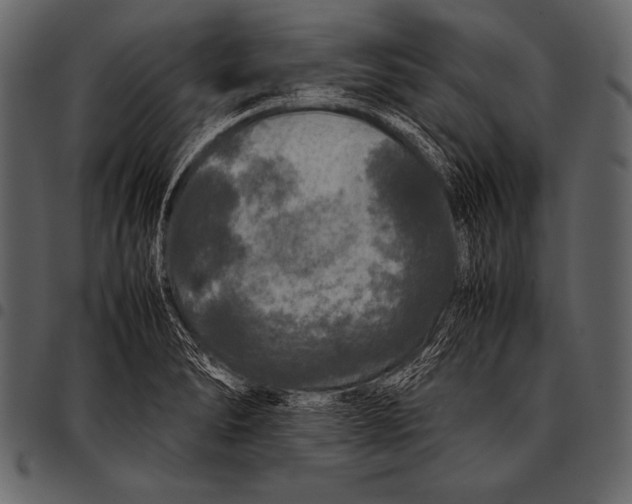 X0000097461278200803201418