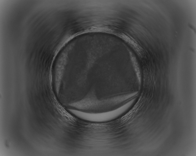 X0000097461280200803201418