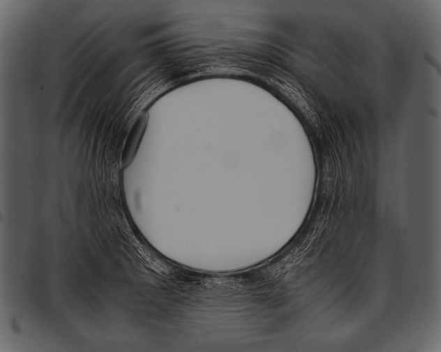 X0000097461281200803201418