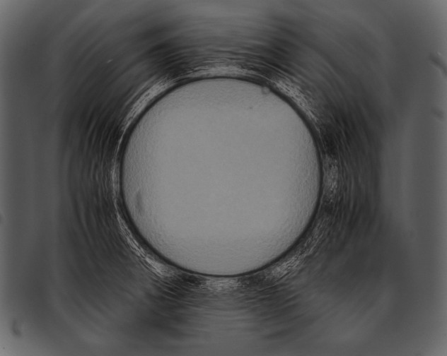 X0000097461282200803201418