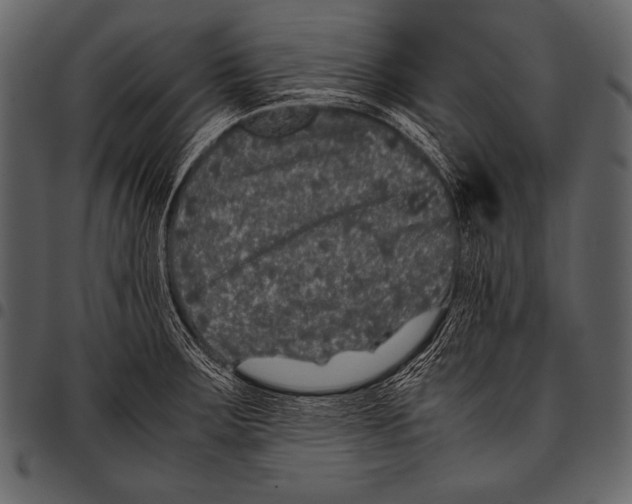 X0000097461283200803201418