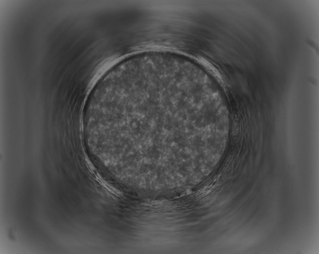 X0000097461287200803201418