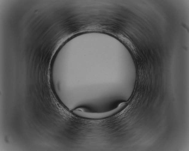 X0000097461288200803201418