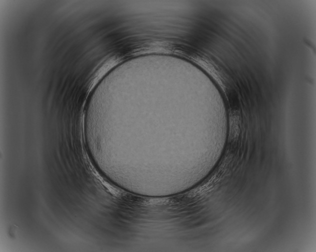 X0000097461290200803201418