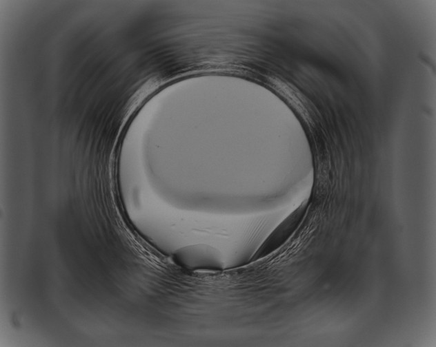 X0000097461291200803201418