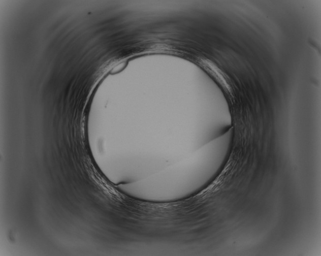 X0000097461292200803201418