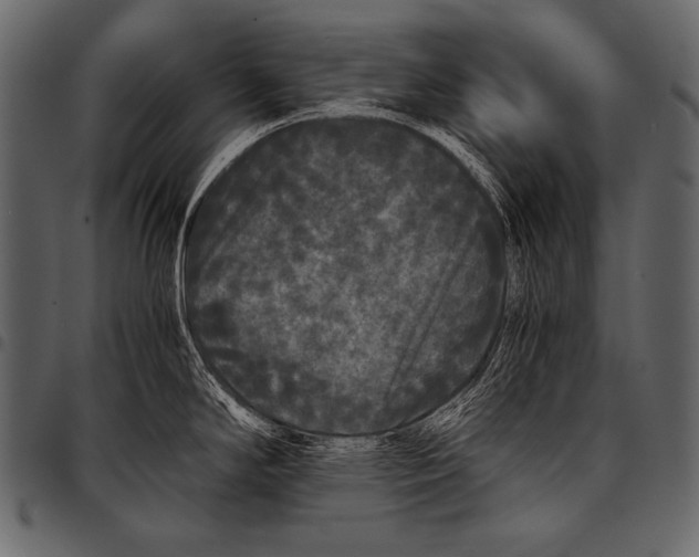 X0000097461294200803201418