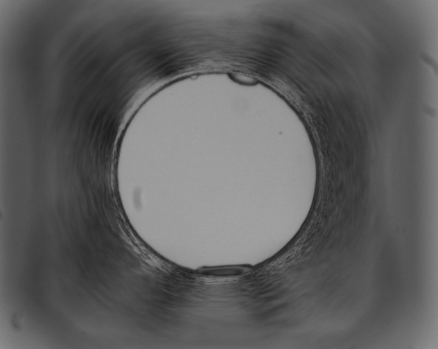 X0000097461296200803201418