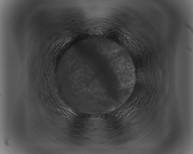 X0000097461297200803201417