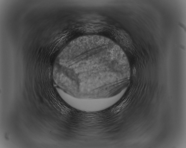 X0000097461300200803201417