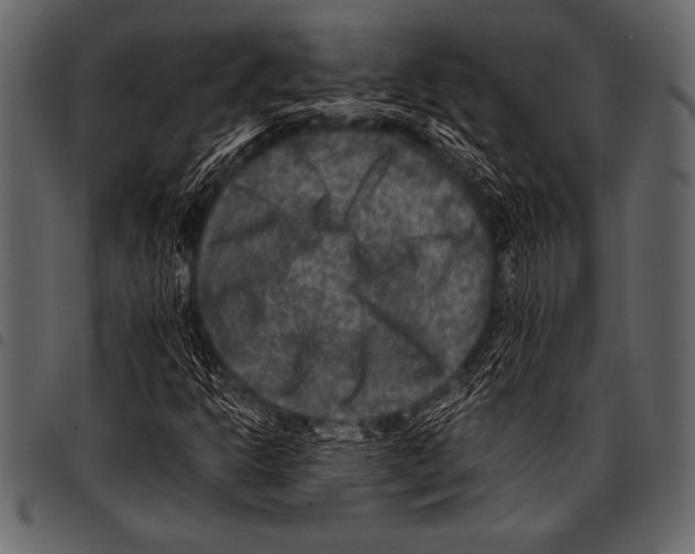 X0000097461302200803201417