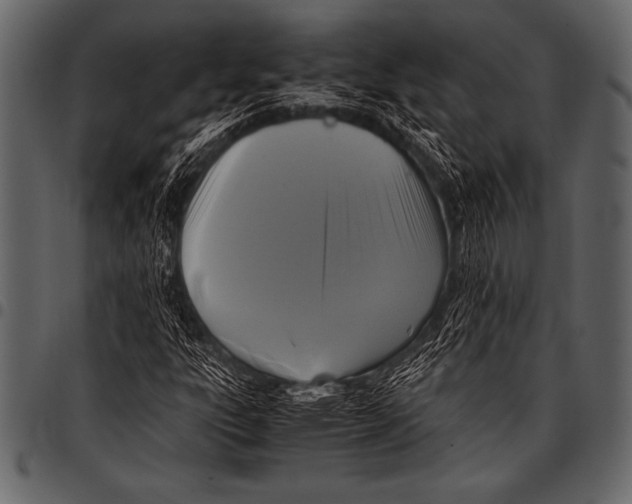 X0000097461303200803201417