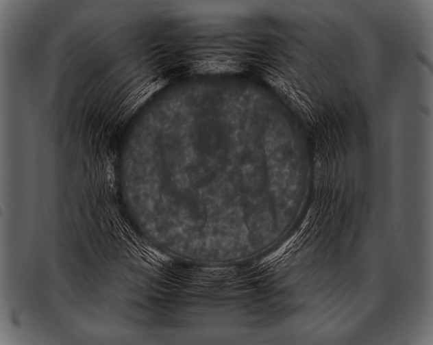 X0000097461305200803201417