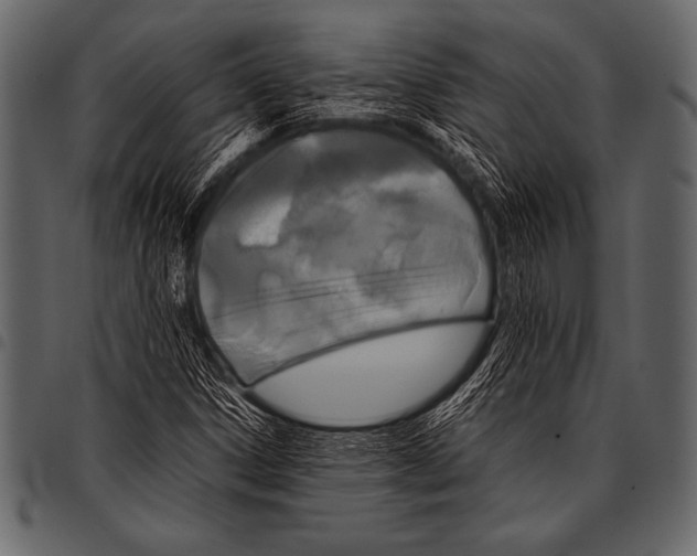 X0000097461306200803201417