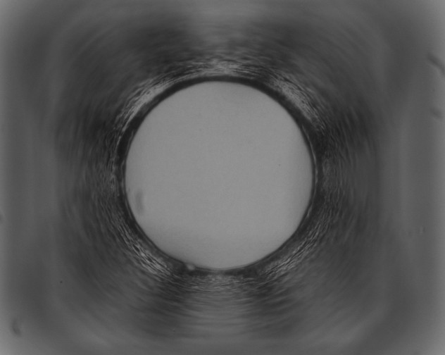 X0000097461308200803201417