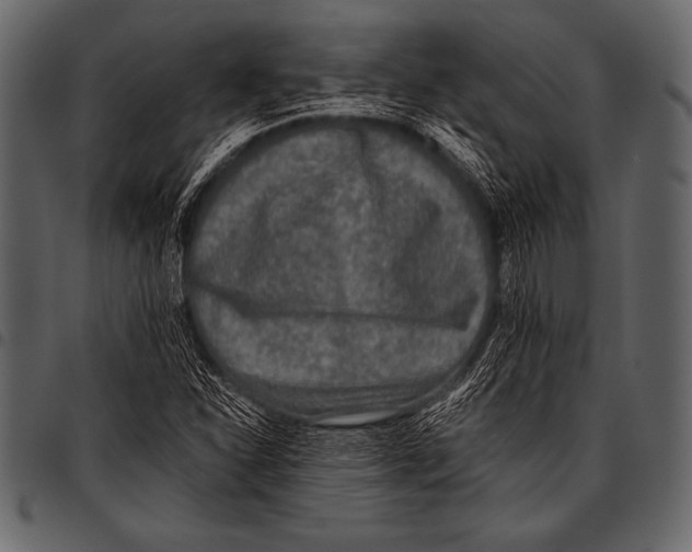 X0000097461310200803201417