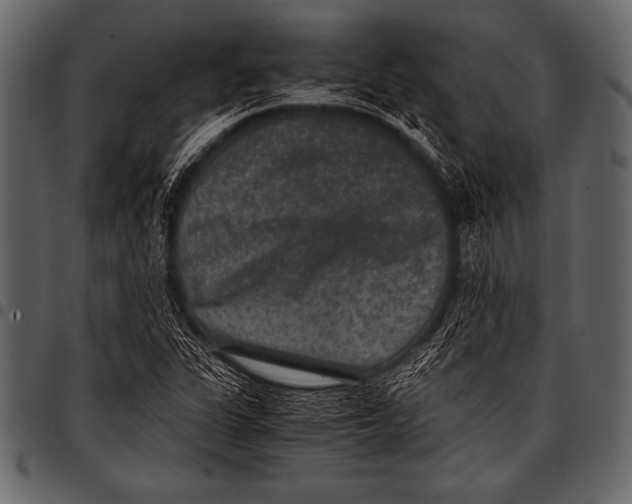 X0000097461311200803201417