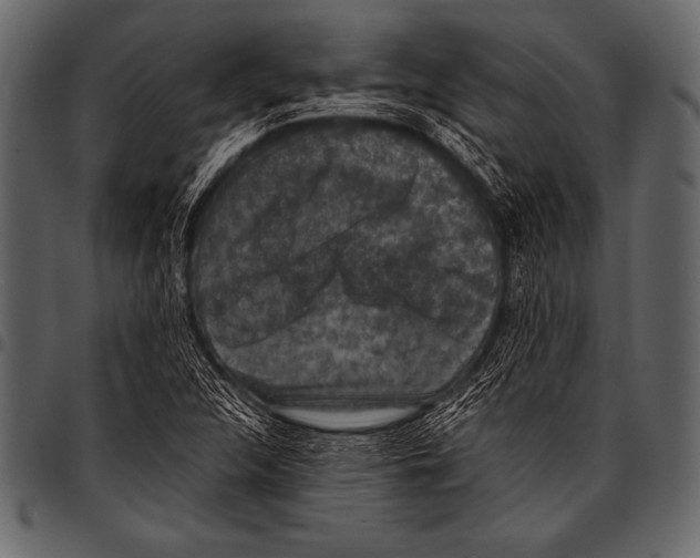 X0000097461312200803201417