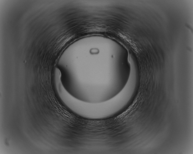 X0000097461313200803201417