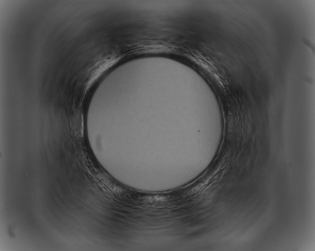 X0000097461317200803201418