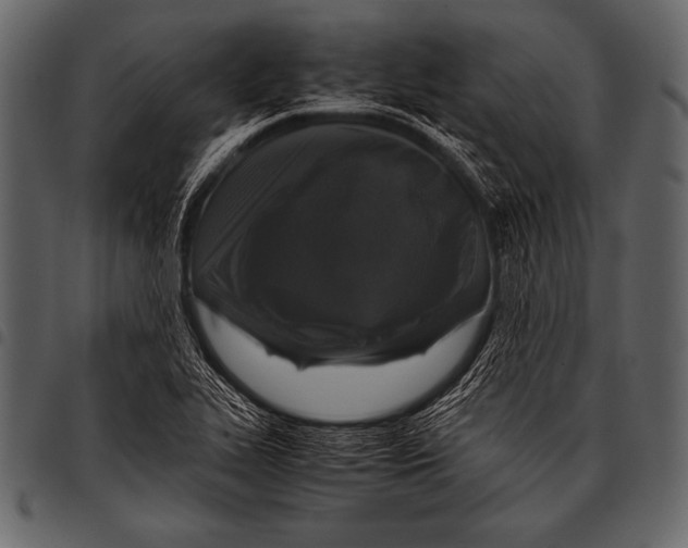 X0000097461319200803201418