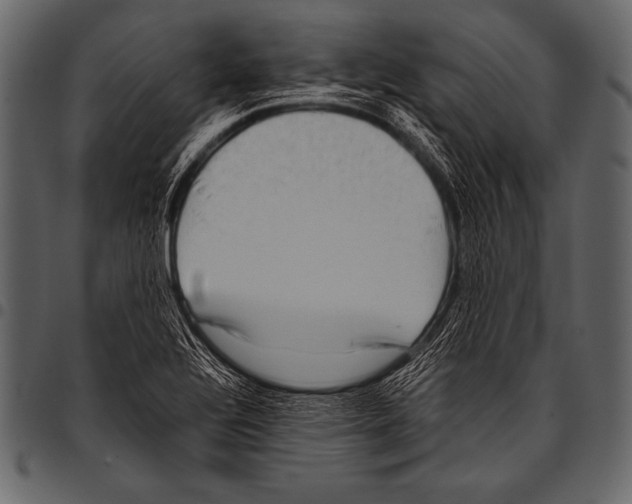 X0000097461320200803201418