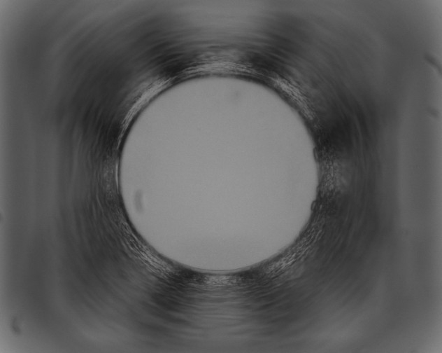 X0000097461322200803201418