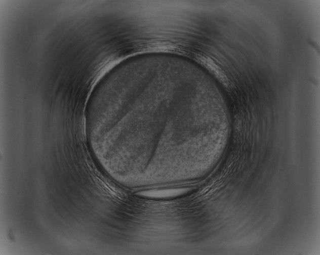 X0000097461324200803201418