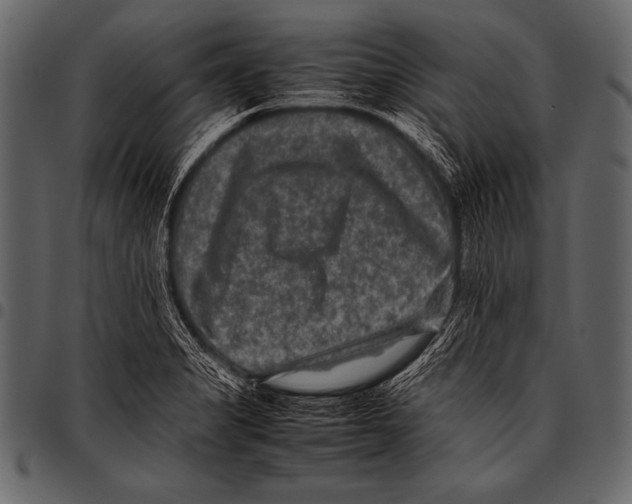 X0000097461325200803201418