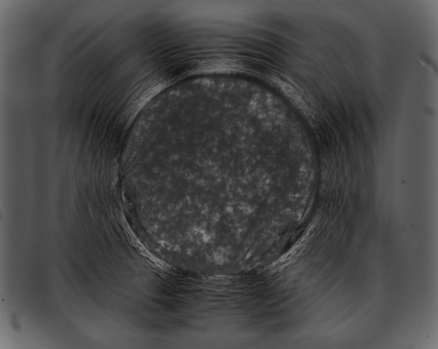 X0000097461329200803201418