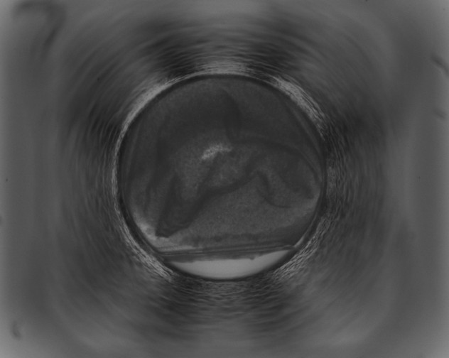 X0000097461331200803201418