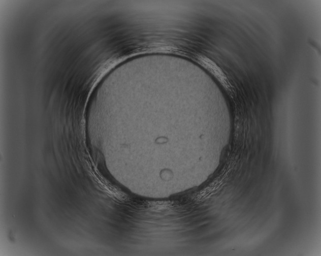 X0000097461332200803201418